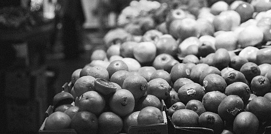 Non sappiamo quel che mangiamo 