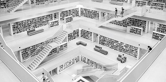 Il futuro delle competenze