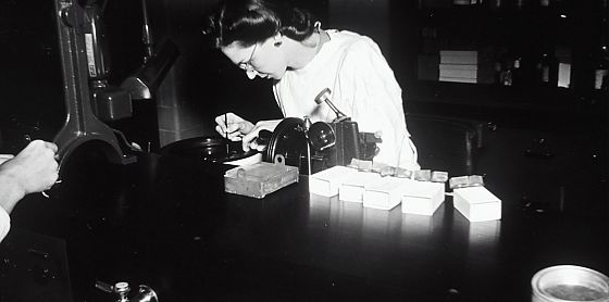 Una scienza a misura di donna