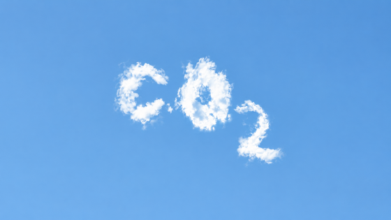 Togliere CO2 dall’atmosfera sarà necessario. Ma chi pagherà il conto?