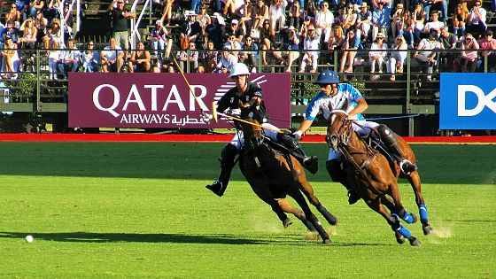 I cavalli geneticamente modificati potrebbero rivoluzionare gli sport ippici