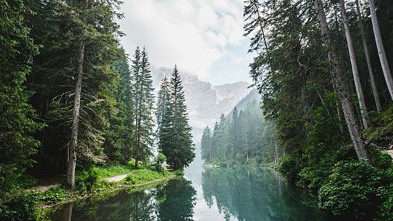La prosperità futura dipende dagli investimenti nella natura