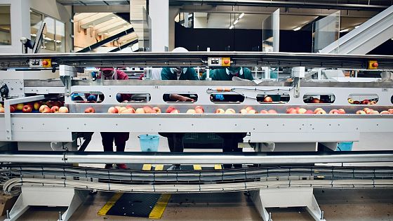 Made in Italy: problemi e prospettive