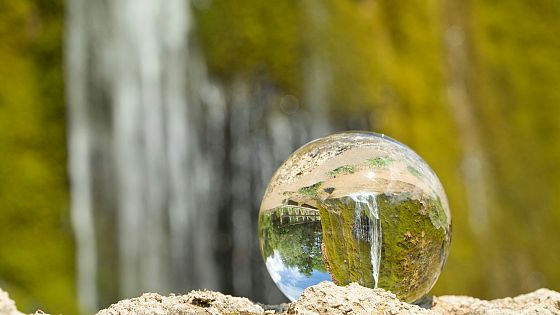 SDGs e natura: guardare oltre l’antropocentrismo