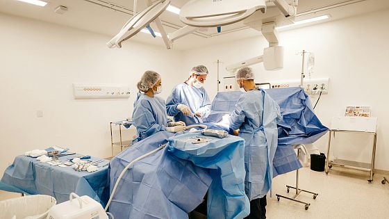 Il futuro dei trapianti, tra progresso, resistenze e organi creati in laboratorio