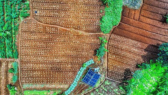 Il Brasile sperimenta i “quartieri agricoli” nelle città: ecco gli “Agrihood”