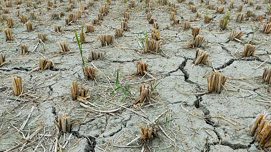 Non è la fine dell’acqua, è l’inizio di una crisi sistemica