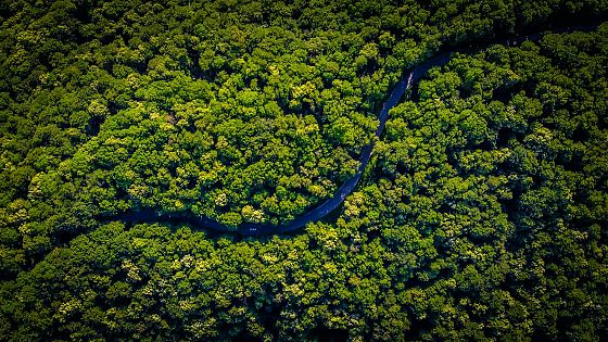 Un fondo da 125 miliardi per l’Amazzonia: la scommessa del Brasile alla Cop30