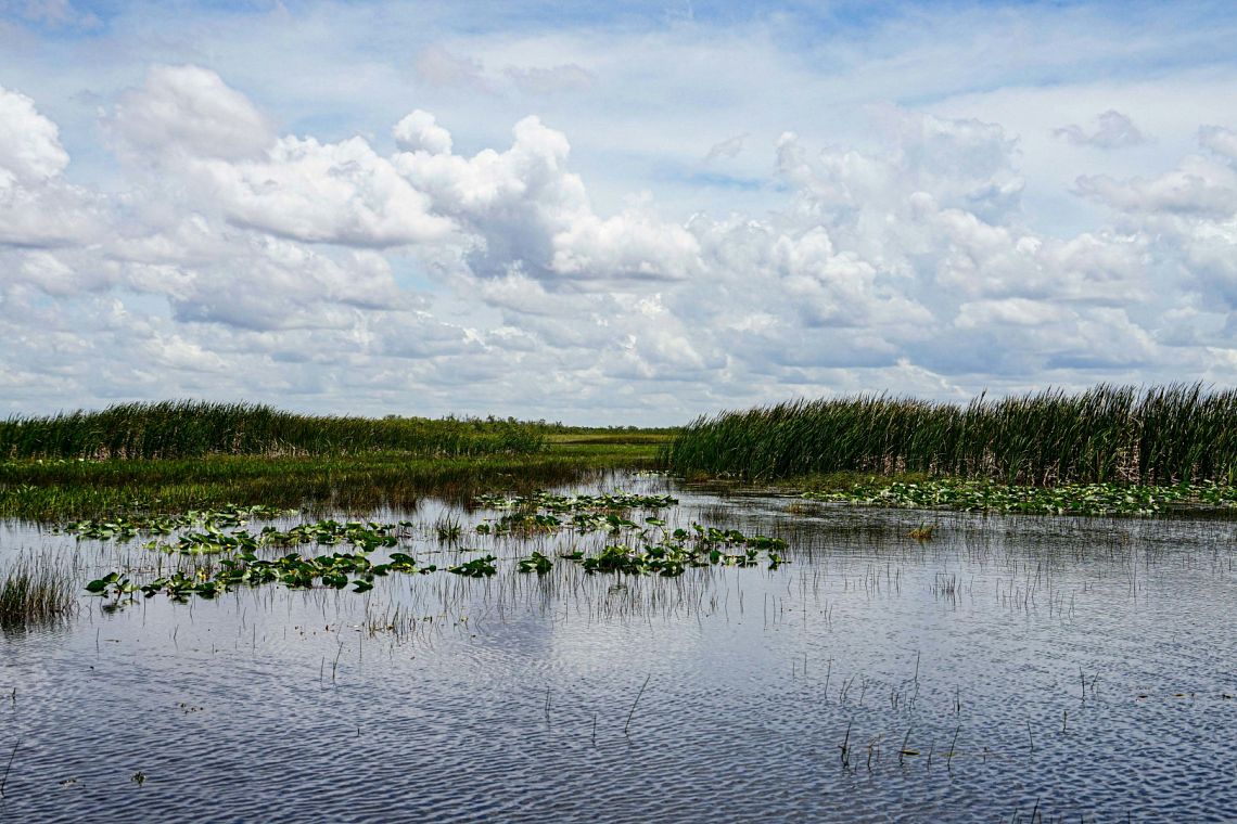 Una bacino idrico grande come Manhattan salverà le Everglades in Florida?