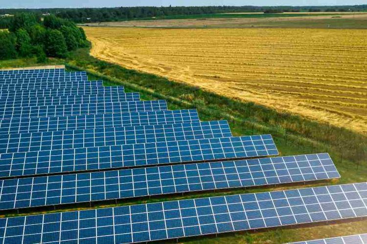 La scienza scommette sull’agrivoltaico. Lo studio del Politecnico di Milano