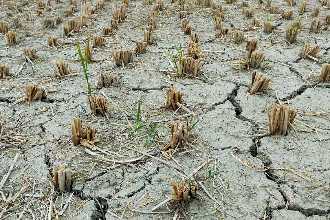 Non è la fine dell’acqua, è l’inizio di una crisi sistemica