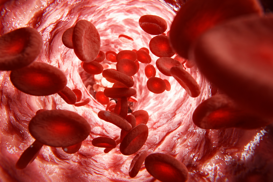 Una startup afferma di aver trovato due farmaci per “ringiovanire” il sangue