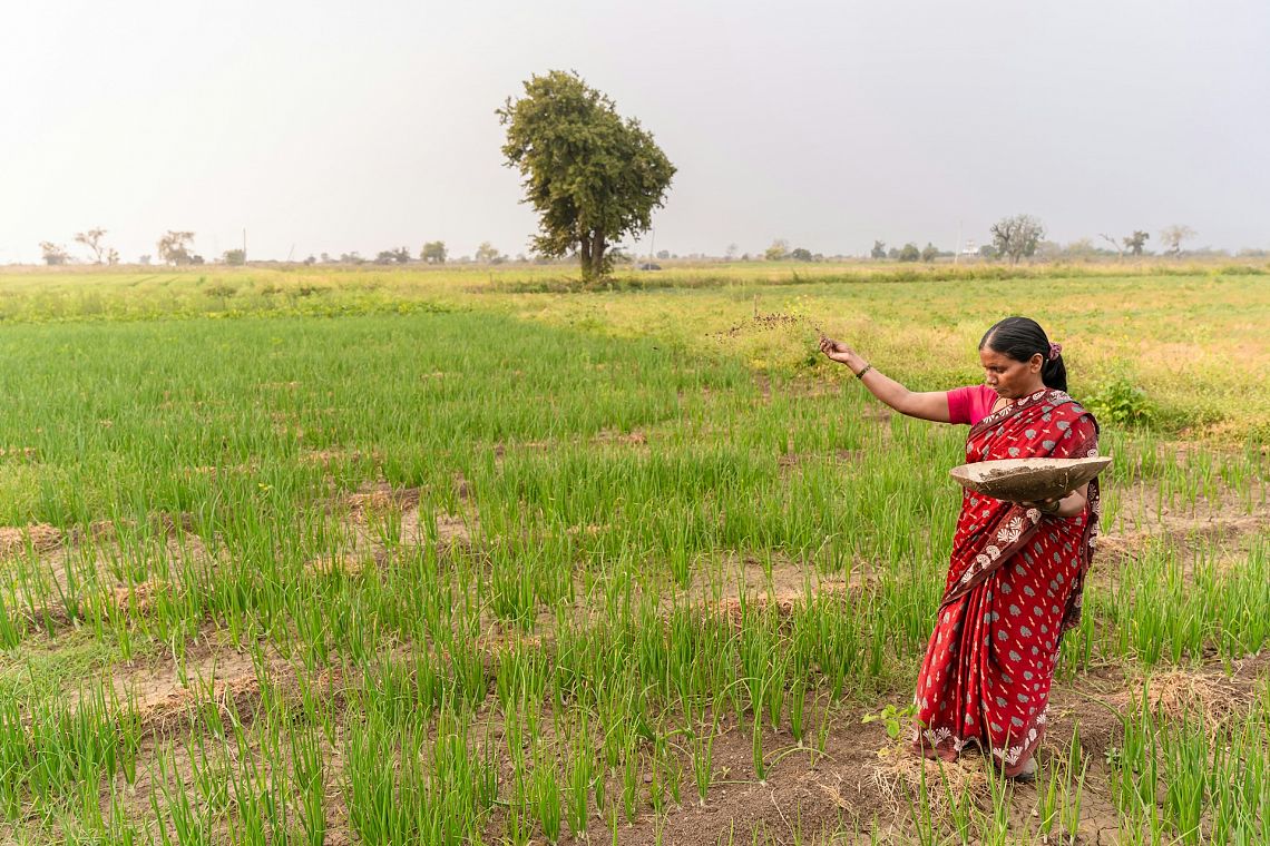 Come l’India può diventare una futura superpotenza agroalimentare