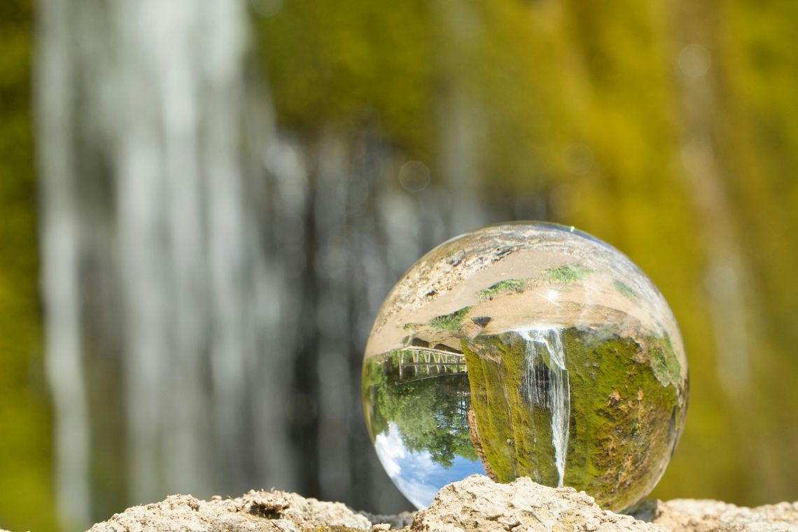 SDGs e natura: guardare oltre l’antropocentrismo