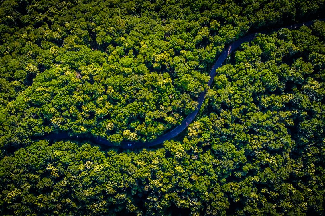 Un fondo da 125 miliardi per l’Amazzonia: la scommessa del Brasile alla Cop30