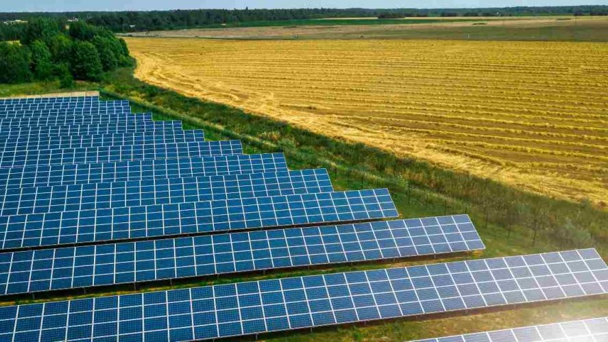 La scienza scommette sull’agrivoltaico. Lo studio del Politecnico di Milano