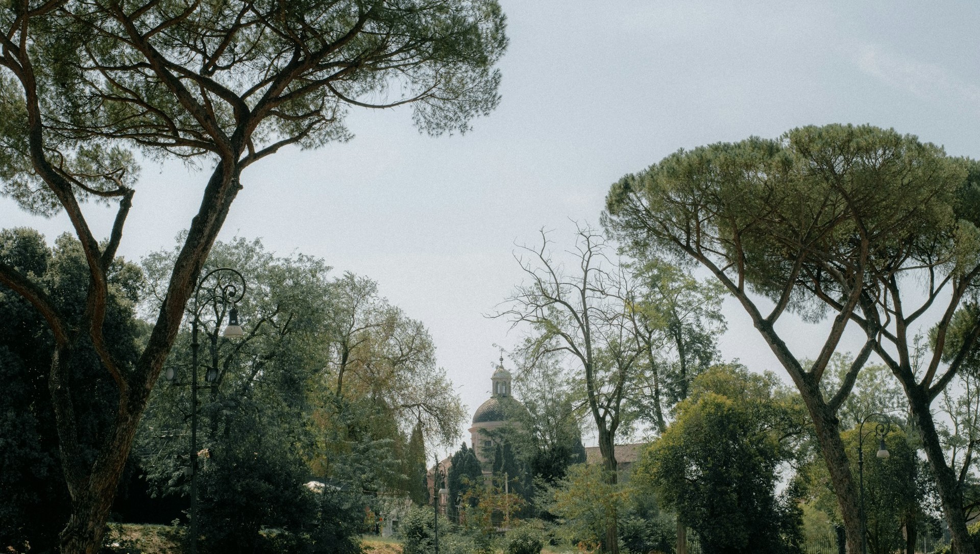 Roma sempre più digitale, al via il “gemello virtuale” per gli alberi